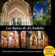 Valor de Marca Clásica con 15 años de Experiencias